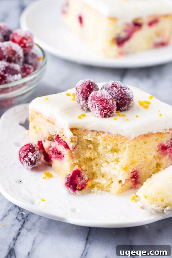 A close-up of a slice of Cranberry Orange Cake with Cream Cheese Frosting, revealing the moist crumb, cranberries, and delicate garnishes.