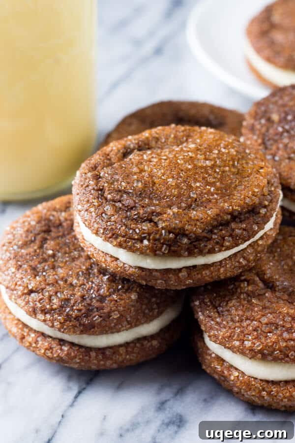 Freshly baked Ginger Molasses Cookies cooling on a wire rack, ready for the luscious eggnog frosting.