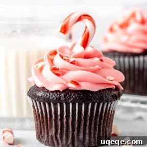 Candy cane chocolate cupcakes with creamy peppermint frosting topped with candy canes