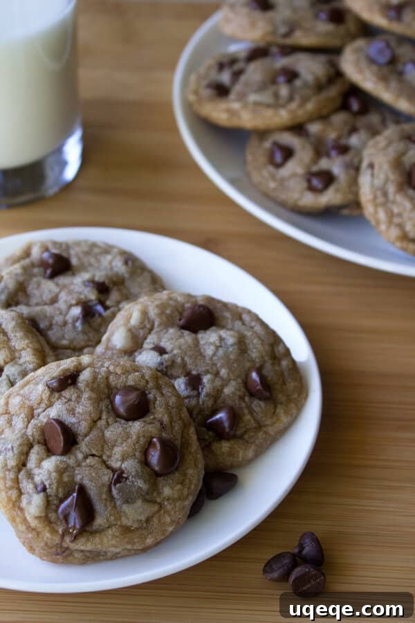 Decadent Chip Delights 2 Perfectly baked chocolate chip cookies, soft, chewy, and loaded with melty chocolate chips. A classic dessert.