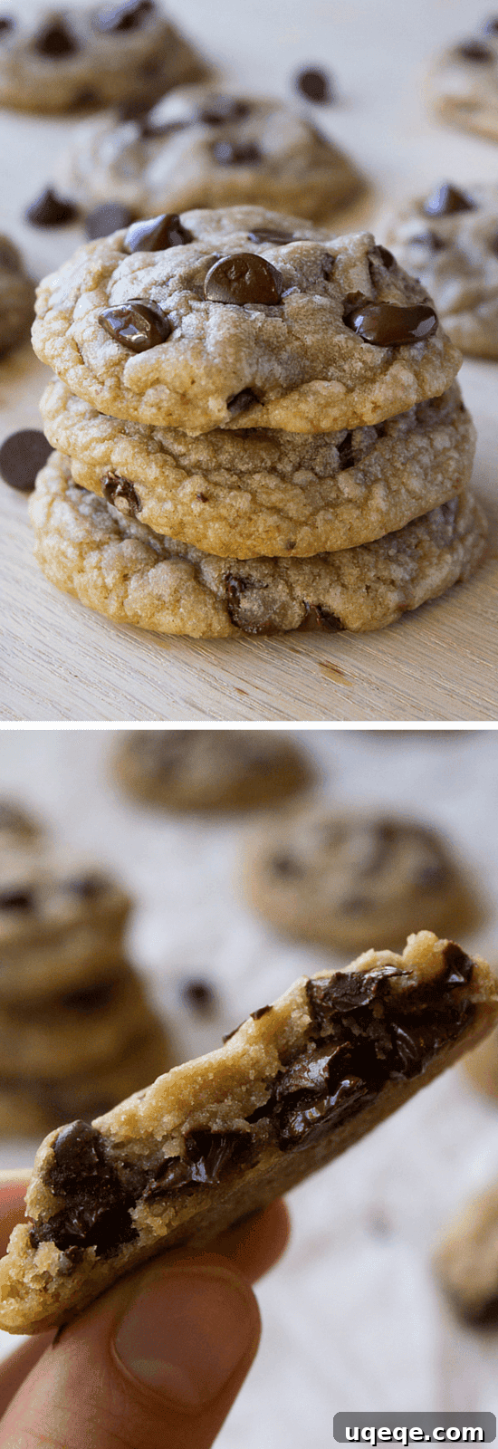 Decadent Chip Delights 4 A baking sheet filled with freshly baked chocolate chip cookies, still warm from the oven.