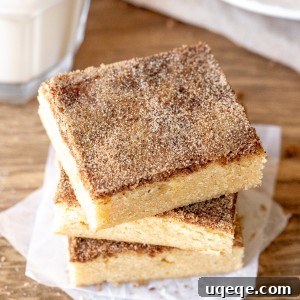 Cinnamon-Kissed Chewy Snickerdoodle Bars 9 Stack of 3 snickerdoodle cookie bars