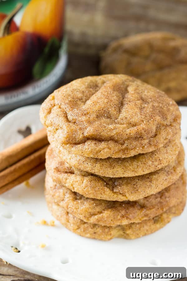 Recipes That Defined 2016 9 These Pumpkin Cookies are super soft & chewy and filled with fall flavors. These are the PERFECT cookies for fall!