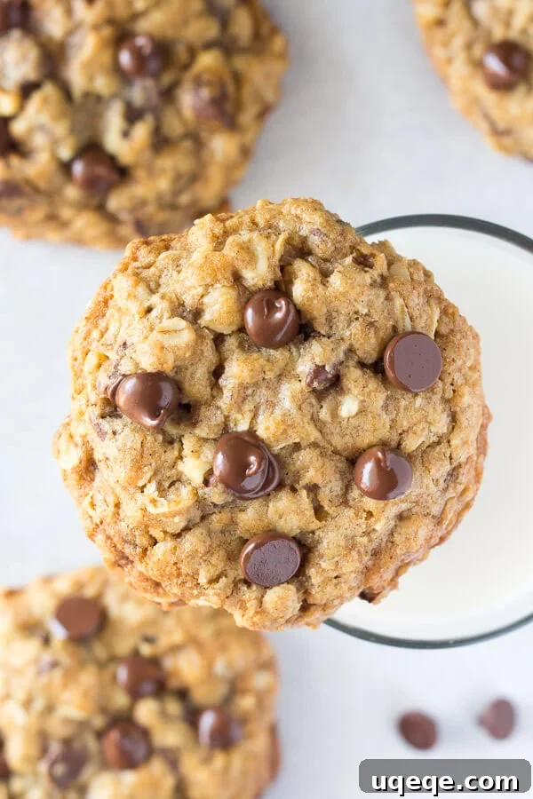 Recipes That Defined 2016 10 These soft and chewy oatmeal chocolate chip cookies are made with brown sugar, old fashioned oats, chopped walnuts & lots of chocolate chips for the perfect bakery-style cookie. You'll love how easy they are to make. www.justsotasty.com