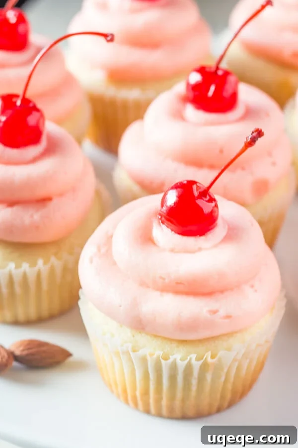 A close-up of unadorned, fluffy almond cupcakes, showcasing their soft, moist texture before being topped with maraschino cherry frosting.