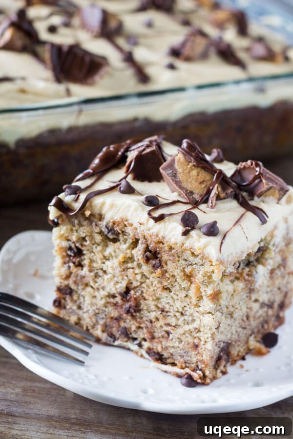 Peanut Butter Banana Chocolate Chip Bliss 4 A stunning overhead shot of the full Chocolate Chip Banana Cake with Peanut Butter Frosting, showcasing its rich toppings including chocolate drizzle, mini chips, and peanut butter cups, ready to be served.