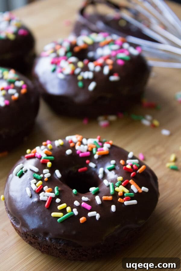 Fudgy, baked double chocolate donuts with a chocolate dip and sprinkles