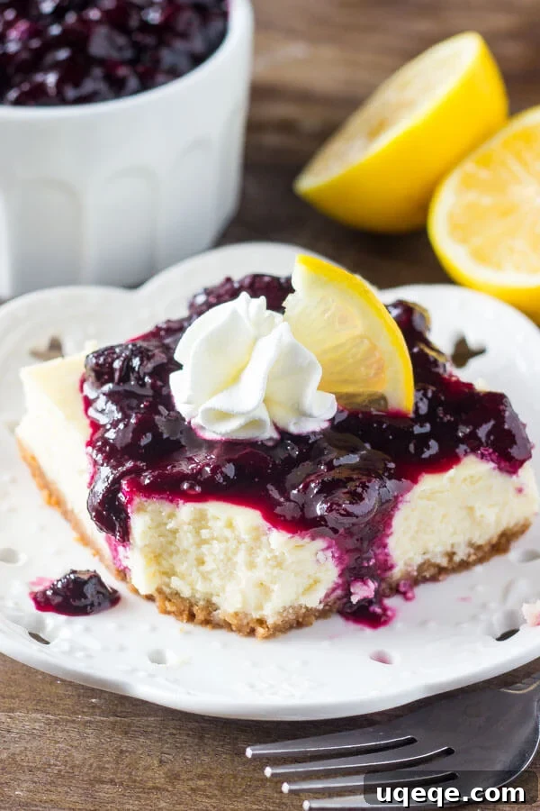 Lemon Blueberry Cheesecake Delights 4 Lemon Blueberry Cheesecake Squares arranged on a white plate, ready to be served, highlighting their smooth texture and vibrant topping.