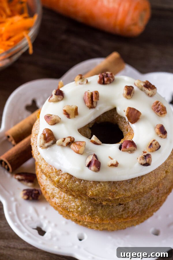 Spiced Carrot Cake Doughnuts 3 Carrot Cake Doughnuts. These baked doughnuts have all the flavor of your favorite carrot cake with cream cheese frosting in doughnut form. www.justsotasty.com