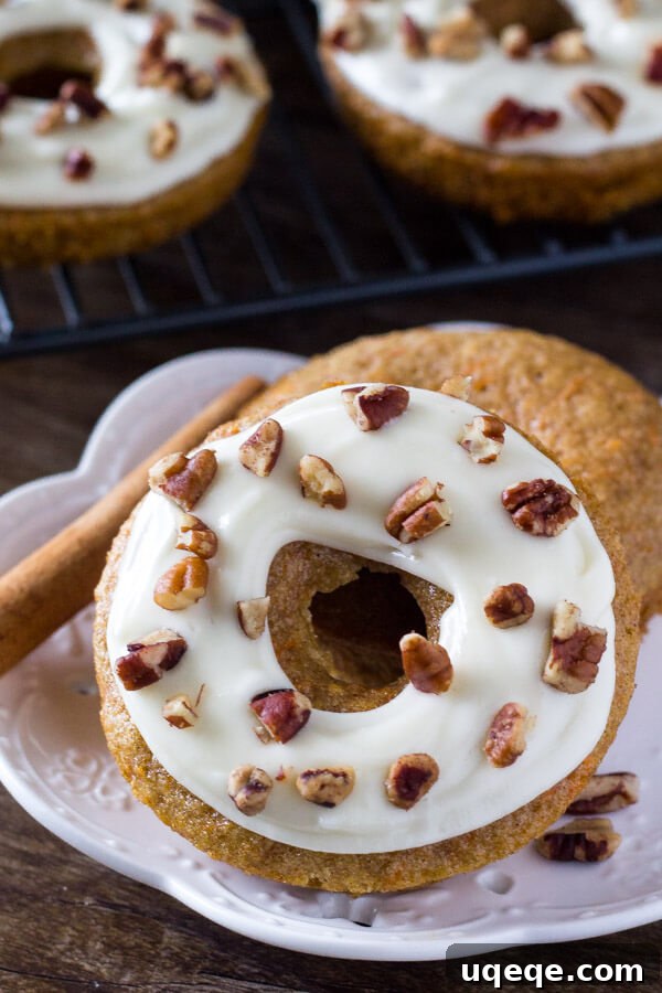 Spiced Carrot Cake Doughnuts 5 Carrot Cake Doughnuts. These baked doughnuts have all the flavor of your favorite carrot cake with cream cheese frosting in doughnut form. www.justsotasty.com