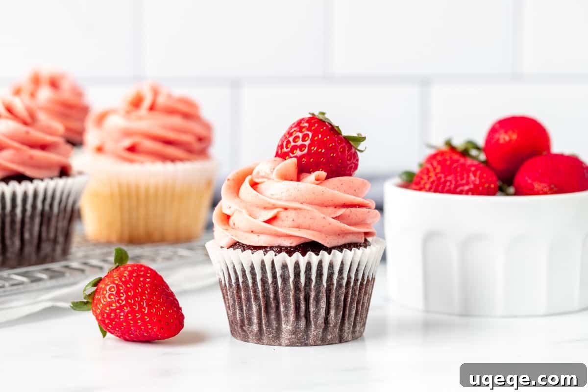 Strawberry Buttercream Delight: Crafted with Fresh or Frozen Berries 7 Chocolate cupcake with strawberry frosting and a fresh berry on top, highlighting the contrast of colors.