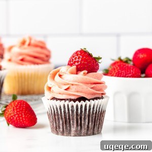 Strawberry Buttercream Delight: Crafted with Fresh or Frozen Berries 8 Chocolate cupcake decorated with strawberry buttercream frosting and topped with a fresh berry.