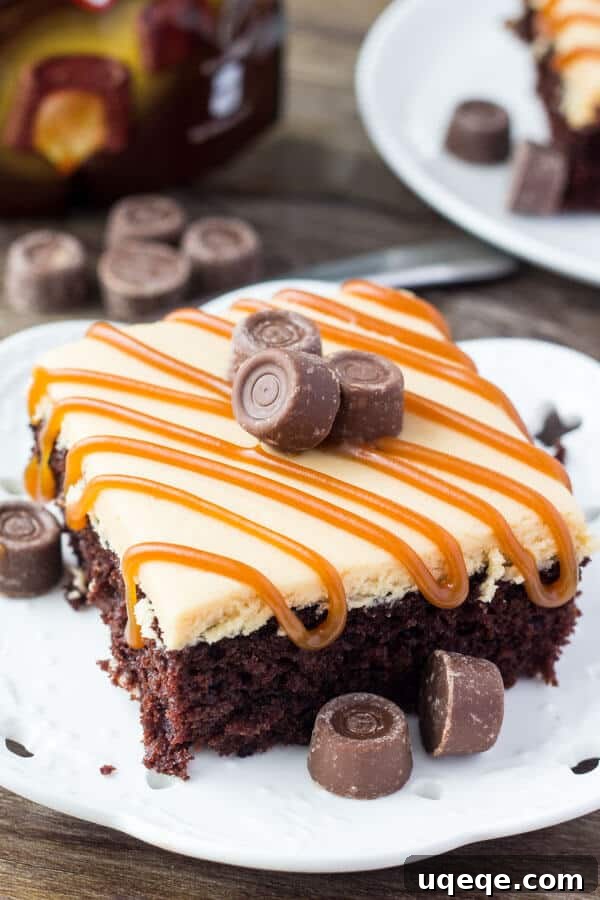 Decadent Chocolate Caramel Dream 2 Rich, fudgy chocolate cake with creamy caramel frosting and a drizzle of caramel sauce. The ultimate chocolate caramel dessert.