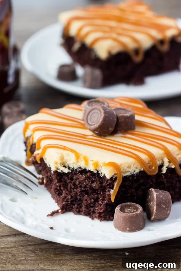 Decadent Chocolate Caramel Dream 6 Fully frosted chocolate cake with caramel drizzled and Rolo candies on top, ready to be served.