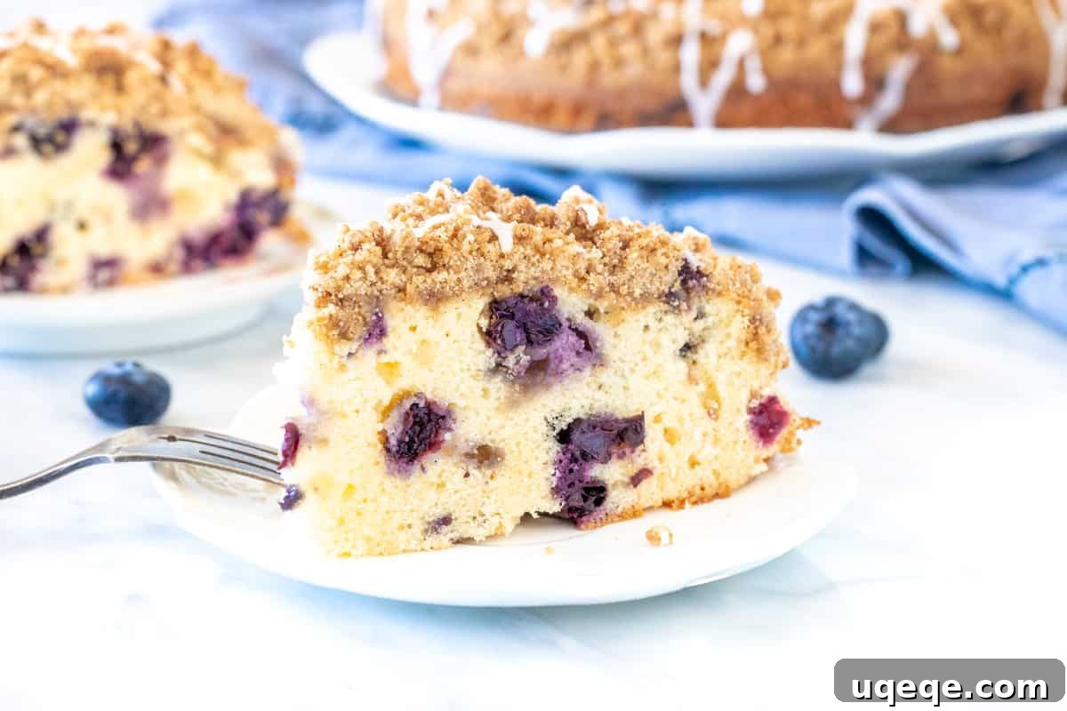 Slice of blueberry cake with cinnamon crumb topping