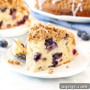 Slice of blueberry coffee cake