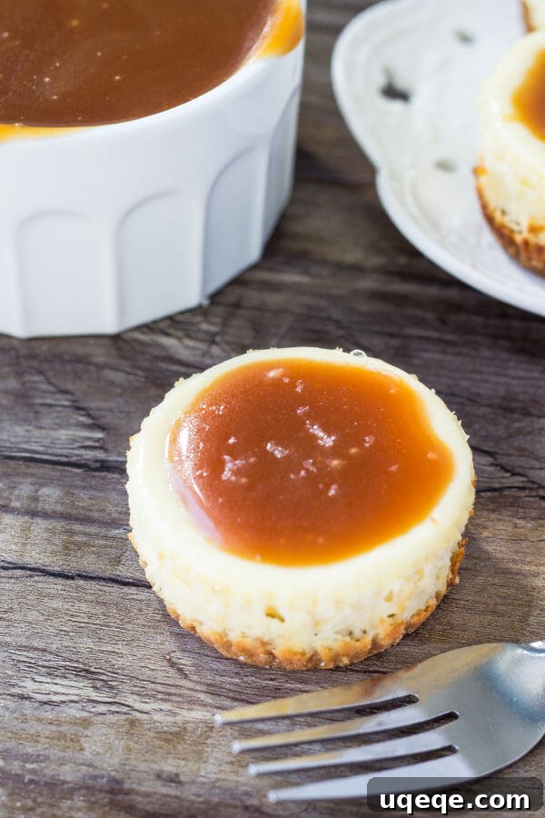 Preparation step: Mini cheesecakes in muffin tin with graham cracker crust and cheesecake batter, ready for baking