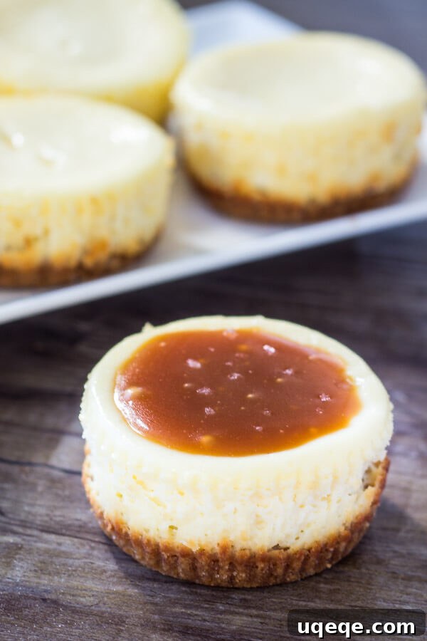 Two mini cheesecakes with salted caramel sauce and a small spoon on a white plate, ready to be eaten