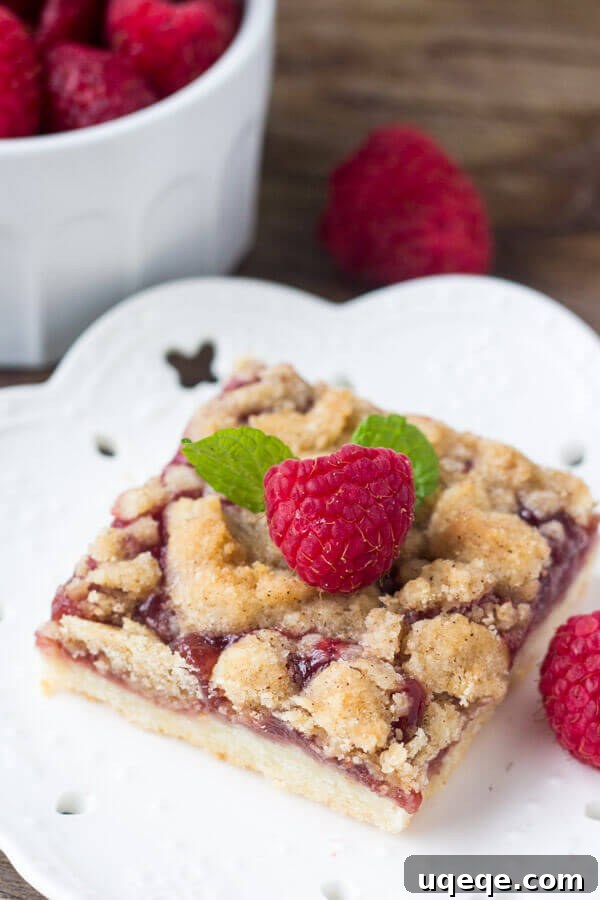 Sweet-Tart Raspberry Crumble Bars 4 Serving suggestion for Raspberry Crumble Bars, delicious as a dessert or breakfast treat. Find the recipe at justsotasty.com