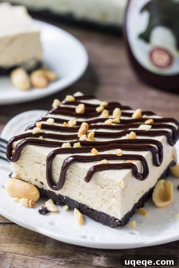 Peanut Butter Crunch Drumstick Ice Cream Cake 2 A delectable slice of peanut butter drumstick cake, generously drizzled with hot fudge and sprinkled with chopped peanuts. Another slice is visible in the background next to a bottle of hot fudge sauce, hinting at more deliciousness.