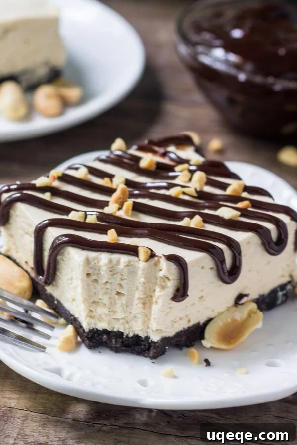 Peanut Butter Crunch Drumstick Ice Cream Cake 6 A delicious slice of drumstick cake with a bite playfully taken out. A bowl of hot fudge sauce and a second inviting slice of cake are visible in the background, beckoning you to dig in.