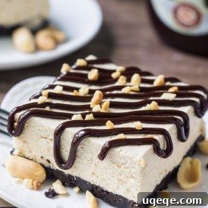 Slice of peanut butter drumstick cake drizzled with hot fudge and peanuts. Second slice in the background with a bottle of hot fudge sauce
