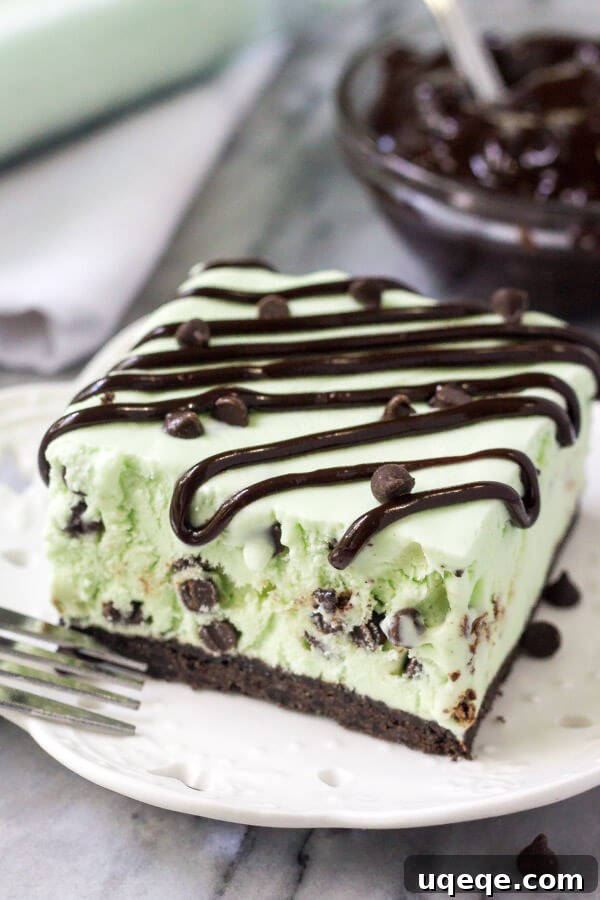 Effortless Mint Chip Ice Cream Cake 4 Slice of homemade mint chip ice cream cake on a white plate drizzled with chocolate sauce. Bowl of chocolate sauce in the background.