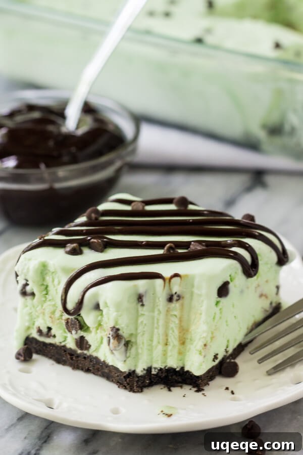 Effortless Mint Chip Ice Cream Cake 5 Slice of mint chip ice cream cake with a bite taken out of it. Fork resting on the side of the plate. Bowl of fudge sauce and pan of ice cream cake in the background.