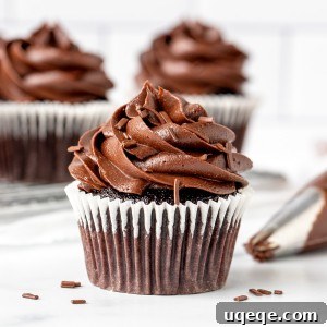 Chocolate cupcake piped with chocolate frosting