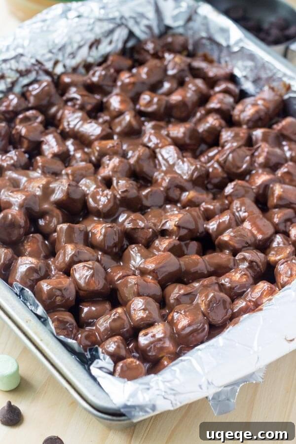 Funfetti Chocolate Delights 4 Square pan of chocolate confetti squares, before the bars have hardened in the fridge.