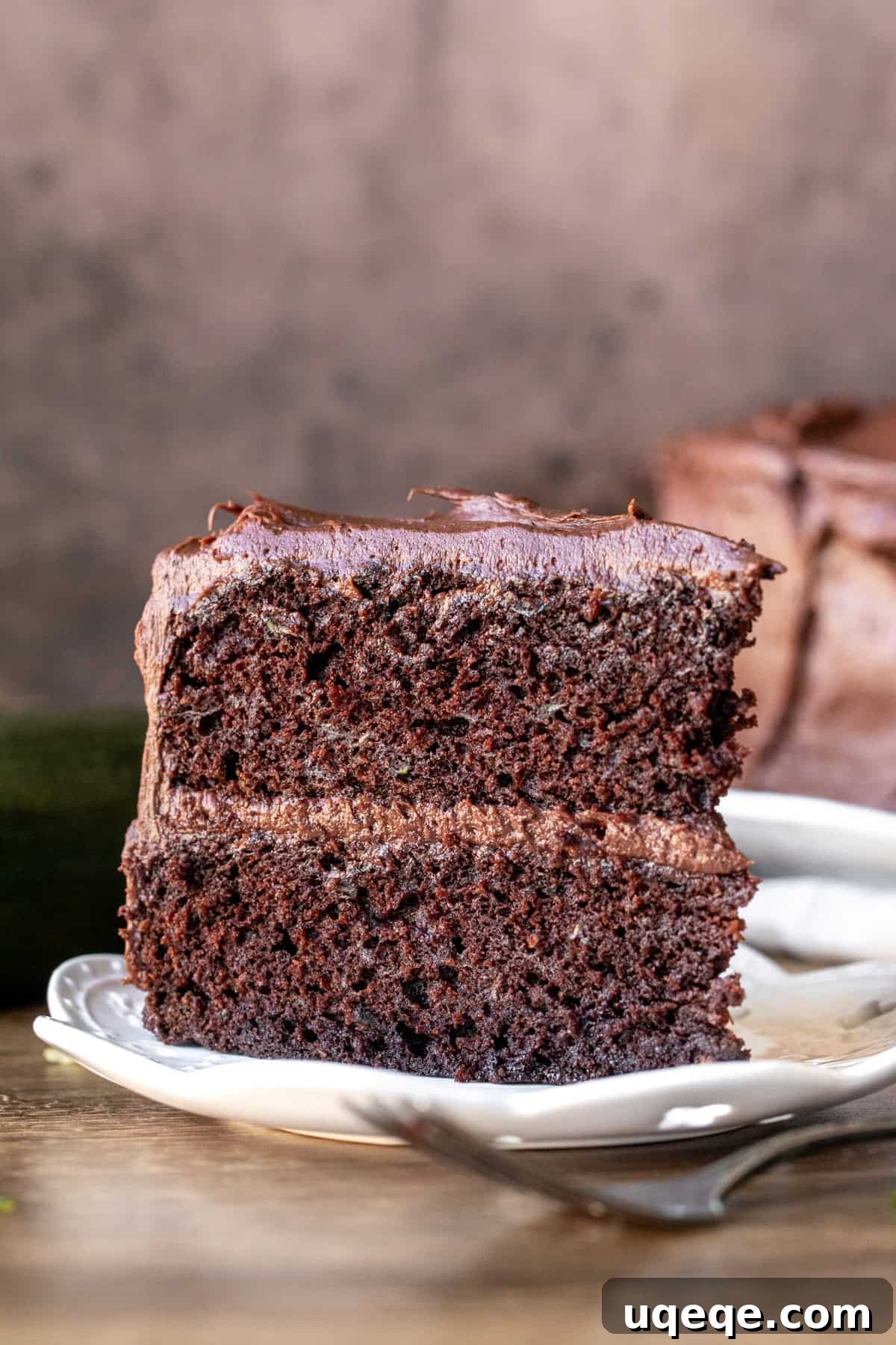Chocolate Zucchini Delight 2 Slice of incredibly moist chocolate zucchini cake with creamy chocolate frosting