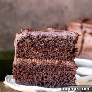 Chocolate Zucchini Delight 9 Slice of chocolate zucchini cake with creamy chocolate frosting
