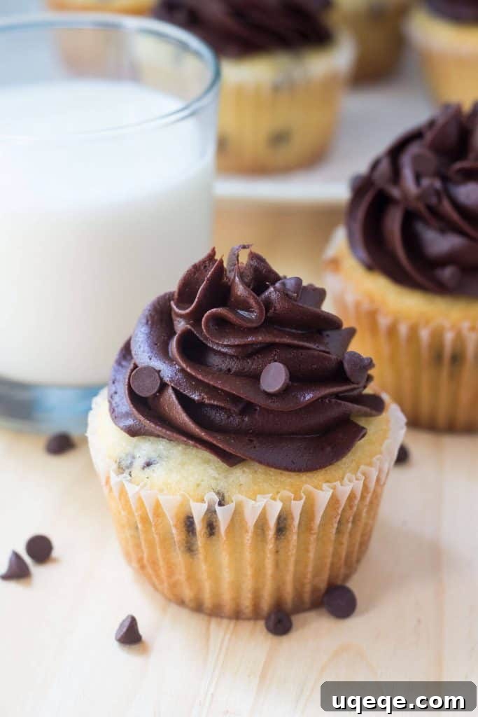 Decadent Double Chocolate Cupcakes 2 Fluffy, moist vanilla cupcakes filled with mini chocolate chips, then topped with creamy chocolate buttercream. These chocolate chip cupcakes with chocolate frosting are the perfect combo of vanilla & chocolate!