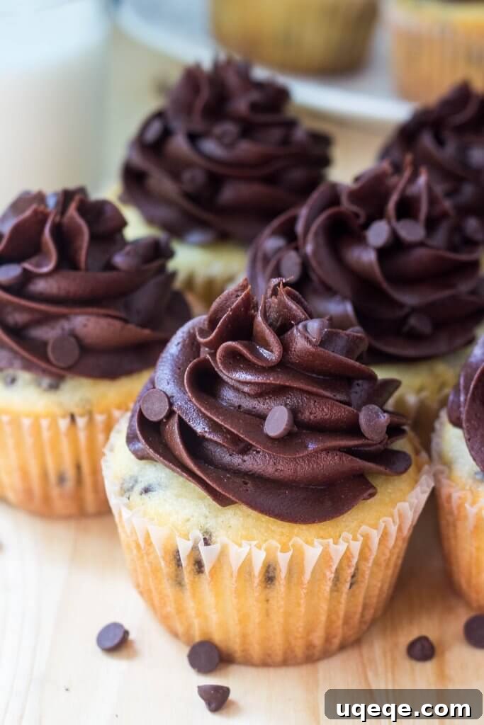 Decadent Double Chocolate Cupcakes 3 Fluffy, moist vanilla cupcakes filled with mini chocolate chips, then topped with creamy chocolate buttercream. These chocolate chip cupcakes with chocolate frosting are the perfect combo of vanilla & chocolate!