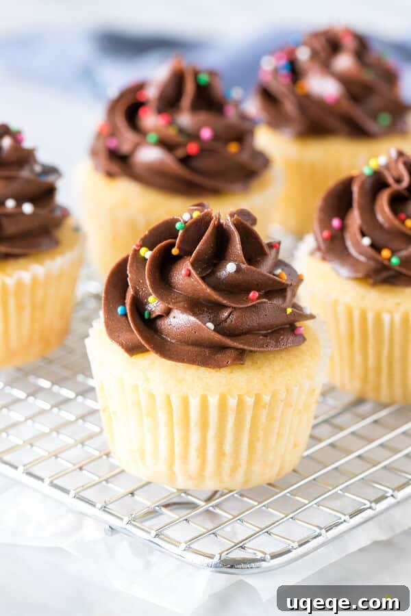 Golden Cupcakes with Velvety Chocolate Frosting 2 A batch of golden yellow cupcakes cooling on a wire rack, awaiting their delectable chocolate frosting.