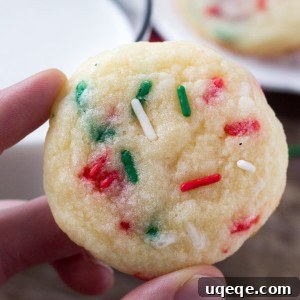 Joyful Confetti Cookies 6 A plate full of festive Holiday Sprinkle Cookies with colorful sprinkles, a perfect easy Christmas cookie recipe.