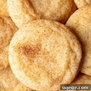 Perfectly Chewy Snickerdoodle Cookies 10 Snickerdoodle cookies, piled on top of each other