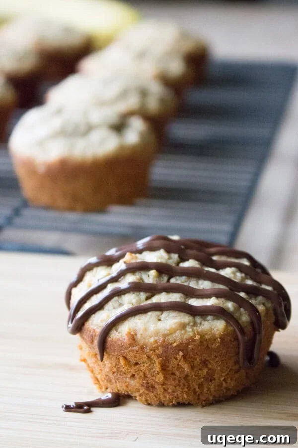 Wholesome Peanut Butter Muffins with Chocolate Drizzle 2 Irresistibly healthy peanut butter banana muffins topped with a rich chocolate glaze. Gluten-free, dairy-free, and refined sugar-free for a perfect guilt-free treat.