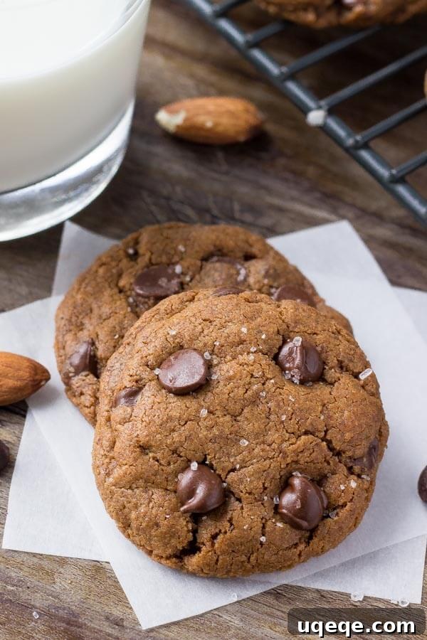 Decadent Almond Butter Chocolate Chip Cookies 2 Two soft and chewy chocolate chip almond butter cookies served with a glass of milk, with more cookies cooling on a wire rack in the background.