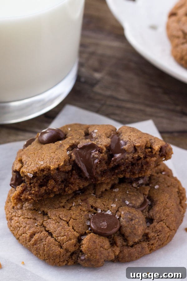 Decadent Almond Butter Chocolate Chip Cookies 5 A close-up view of a chocolate chip almond butter cookie broken in half, revealing its moist, chewy interior and melting chocolate.