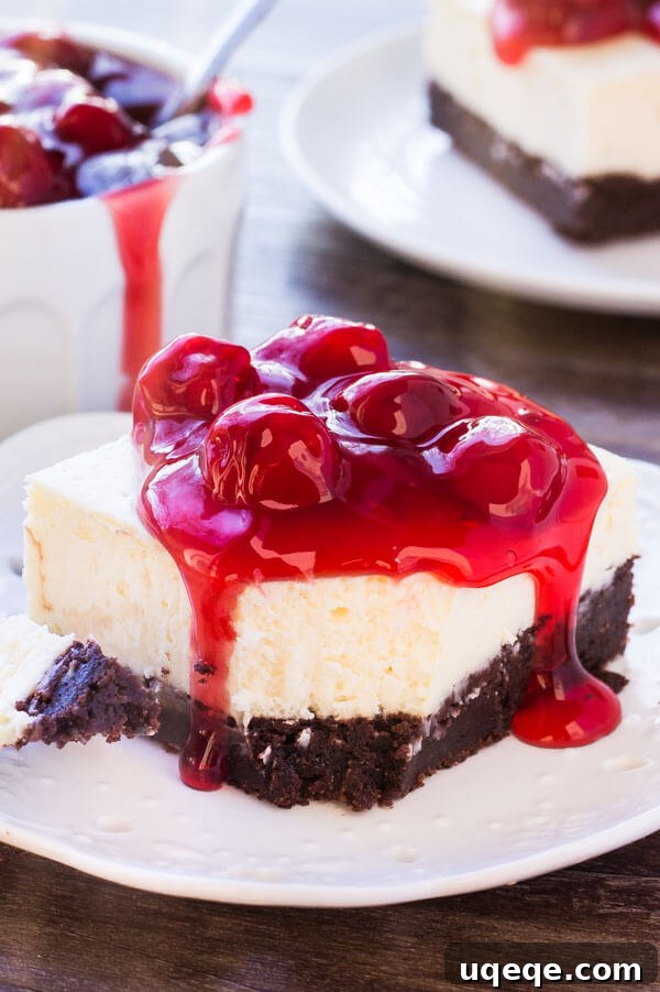 Swirled Brownie Cheesecake 5 A delectable slice of brownie bottom cheesecake with a small bite taken out, revealing the distinct layers of fudgy brownie and creamy cheesecake.