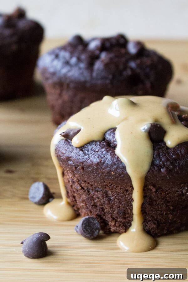 Delightfully Guiltless Double Chocolate Muffins 2 Delicious Guilt-Free Double Chocolate Muffins, showcasing their rich color and texture. These healthy muffins are flourless, dairy-free, and contain no refined sugars or oil.
