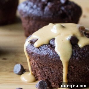 Delightfully Guiltless Double Chocolate Muffins 4 Guilt-Free Double Chocolate Muffins. Healthy, flourless, dairy-free, no refined sugars, and no butter or oil. Perfect for a sweet craving.