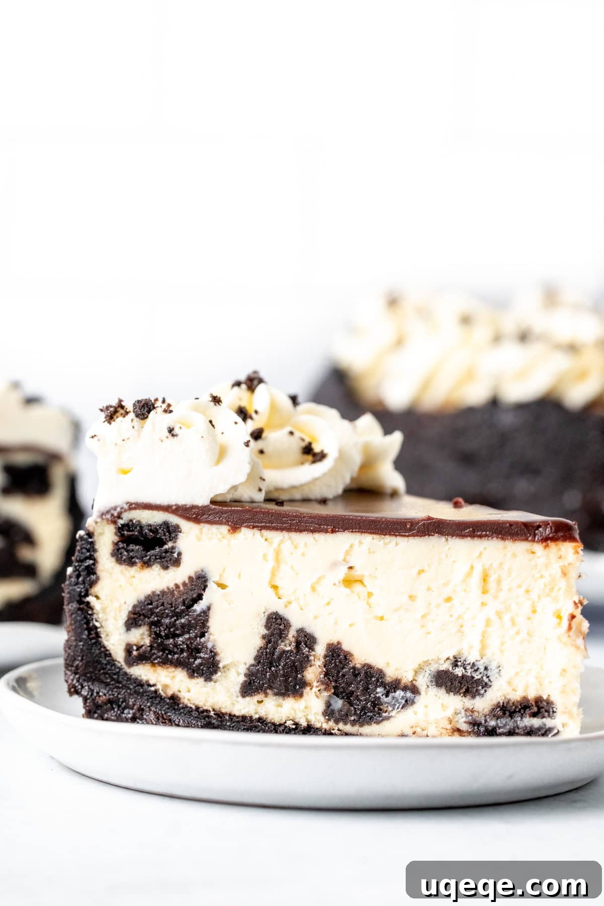 Oreo Obsession Cheesecake 2 Slice of Oreo cheesecake with chocolate ganache topping and whipped cream rosettes