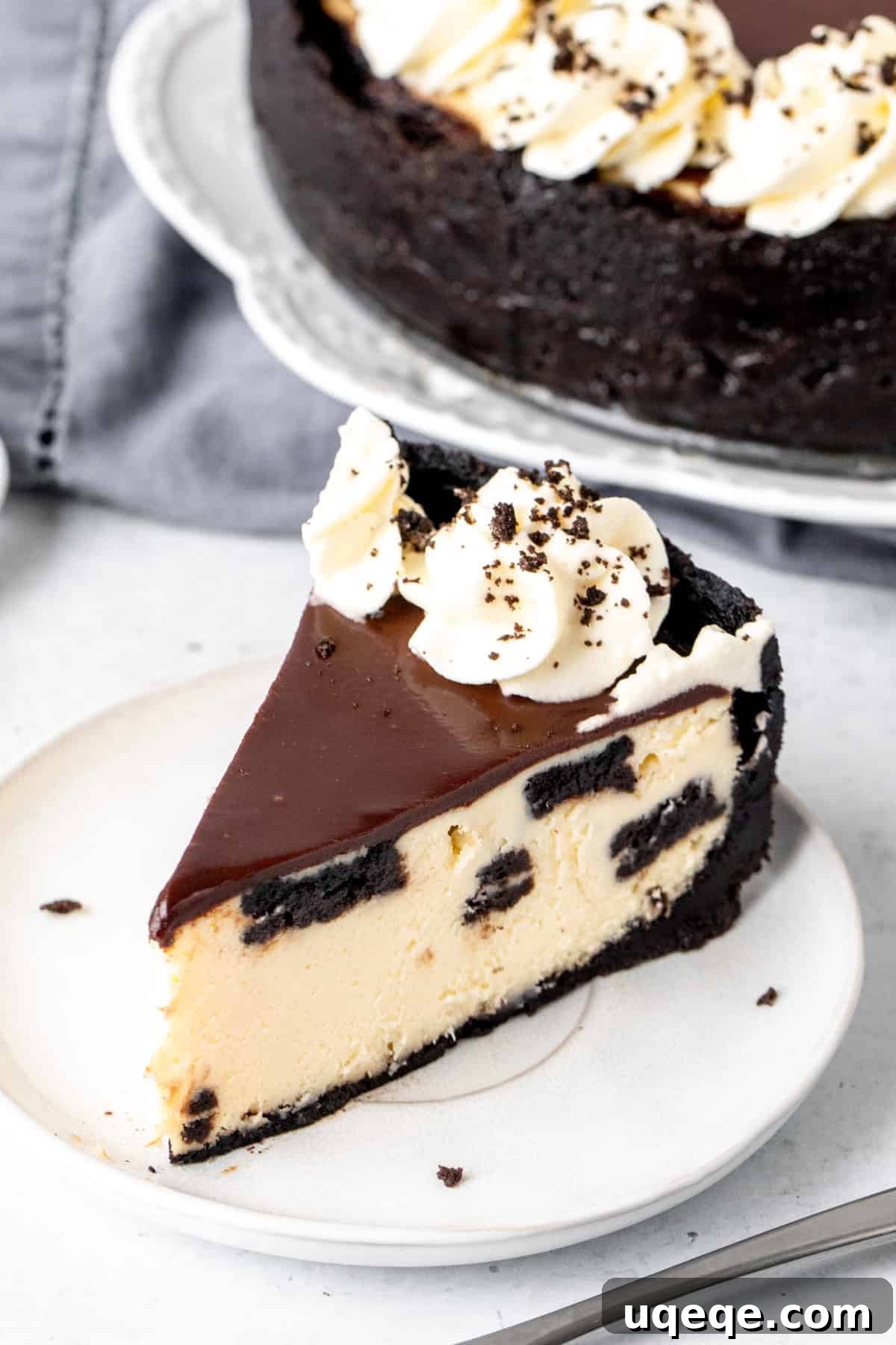 Oreo Obsession Cheesecake 8 Slice of cookies and cream cheesecake with Oreo crust, chocolate topping and whipping cream on top