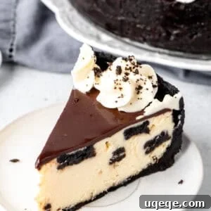Slice of Oreo Cheesecake with chocolate ganache and whipped cream rosettes on top
