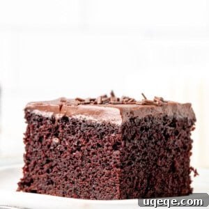 Slice of moist chocolate cake with chocolate frosting