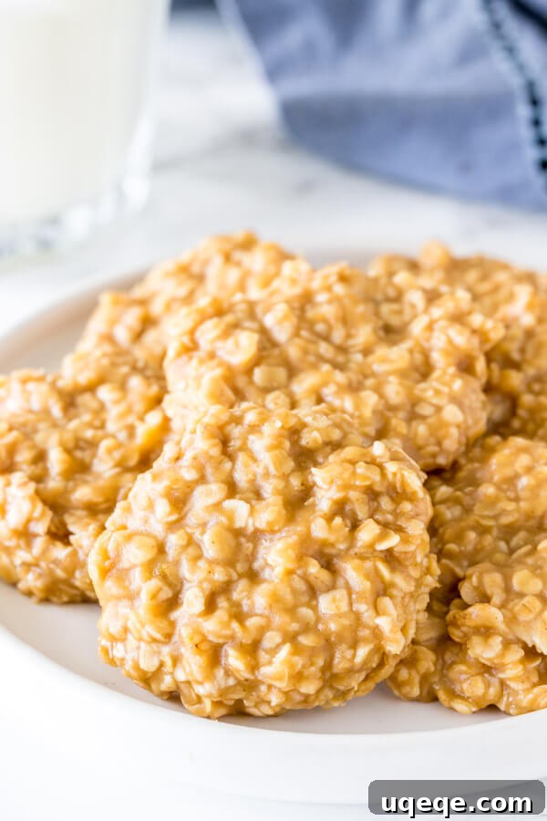 Effortless Peanut Butter Oat Delights 3 A beautifully arranged plate of freshly made peanut butter oatmeal no-bake cookies, ready for serving and showcasing their inviting golden-brown hue and rustic charm.