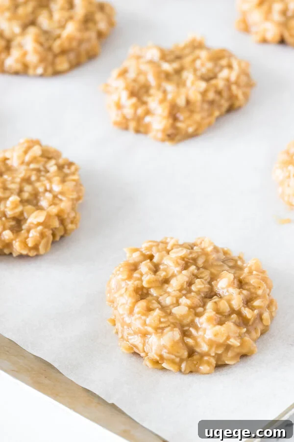 Effortless Peanut Butter Oat Delights 4 Rows of easy no-bake peanut butter cookies arranged on a parchment-lined cookie sheet, actively hardening in the refrigerator, demonstrating the crucial setting process.