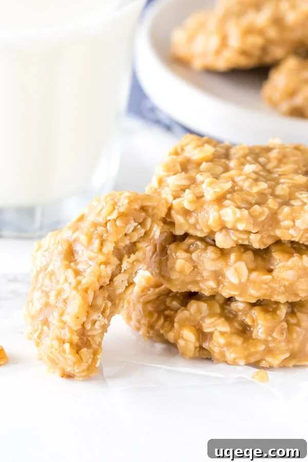 Effortless Peanut Butter Oat Delights 5 A vibrant close-up shot of the finished Peanut Butter No-Bake Cookies, highlighting their rich texture and inviting appearance, emphasizing their ease of preparation with just 6 simple ingredients.